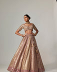 Deep Beige Multicolor Metallic Lehenga With Elbow Blouse