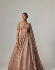 Deep Beige Multicolor Metallic Lehenga With Elbow Blouse