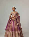 Mud Mauve Multicolor Chita Sequin Scattered Lehenga Set With V Neck Full Sleeves