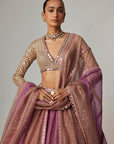 Mud Mauve Multicolor Chita Sequin Scattered Lehenga Set With V Neck Full Sleeves