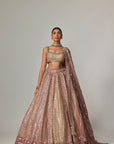Deep Beige Multicolor Metallic Lehenga With Square Neck Blouse