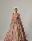 Deep Beige Multicolor Metallic Lehenga With Square Neck Blouse