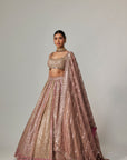 Deep Beige Multicolor Metallic Lehenga With Square Neck Blouse