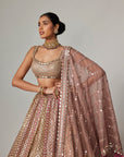 Deep Beige Multicolor Metallic Lehenga With Square Neck Blouse