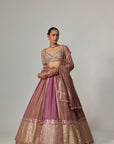 Mud Mauve Multicolor Sequin Scatter Lehenga With Elbow Sleeve Blouse