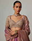 Mud Mauve Multicolor Sequin Scatter Lehenga With Elbow Sleeve Blouse