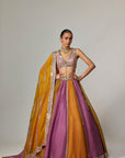 Mustard Multicolor Linear Lehenga With V Neck Blouse