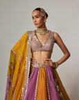 Mustard Multicolor Linear Lehenga With V Neck Blouse