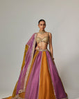 Mustard Multicolor Linear Lehenga With Sweetheart Neck Blouse