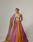 Mustard Multicolor Linear Lehenga With Sweetheart Neck Blouse