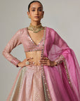 Dark Blush Multicolor Metallic Gota Crop Top Skirt With Dark Blush Dupatta
