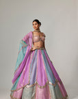 Mauve Multicolor Sequins Scatter Lehenga With Cap Sleeve Blouse