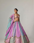 Mauve Multicolor Sequins Scatter Lehenga With Cap Sleeve Blouse