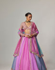 Mauve Multicolor Linear Lehenga With V Neck Blouse