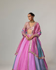 Mauve Multicolor Linear Lehenga With V Neck Blouse