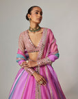 Mauve Multicolor Linear Lehenga With V Neck Blouse