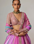 Mauve Multicolor Linear Lehenga With V Neck Blouse