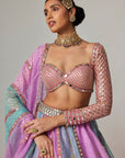 Mauve Multicolor Sequin Scattered Lehenga With Sweetheart Full Sleeve Blouse