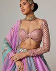 Mauve Multicolor Sequin Scattered Lehenga With Sweetheart Full Sleeve Blouse