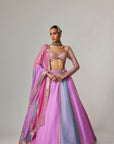 Mauve Multicolor Linear Lehenga With Sweetheart Full Sleeve Blouse