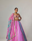 Mauve Multicolor Linear Lehenga With Sweetheart Full Sleeve Blouse
