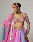 Mauve Multicolor Linear Lehenga With Sweetheart Full Sleeve Blouse