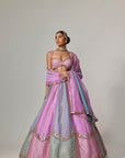 Mauve Multicolor Sequin Scattered Lehenga With Sweetheart Neck Blouse