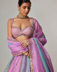 Mauve Multicolor Sequin Scattered Lehenga With Sweetheart Neck Blouse