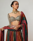 Cranberry Lehenga Pants With Sweetheart Neck Full Sleeve Blouse