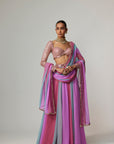 Mauve Multicolor Lehenga Pants Set