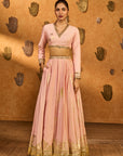 Baby Pink Mandarin Sky Lehenga Set