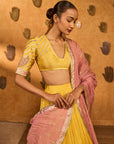 Spiced Ochre Lunar Lehenga Set