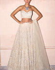 The Modern Royalty Ekru Lehenga