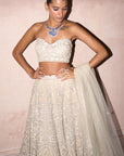 The Modern Royalty Ekru Lehenga