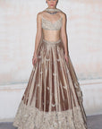 The Wild Matsya Champagne on Silk Lehenga