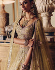 The Royal Masai Landscape Aged Pistachio Tissue Lehenga