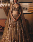The Sheeshraag Toasted Gold Lehenga