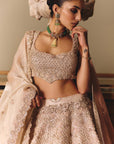 The Royal Ekru Saga Lehenga