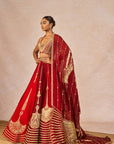 Milan Ki Aas Lehenga