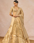 Namkeen Lehenga