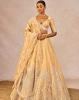 Chandni Lehenga