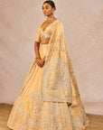 Chandni Lehenga
