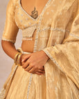 Chandni Lehenga