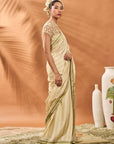 Sage Green Striped All Fours Saree