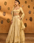 Ivory Sakura Tissue Lehenga Set