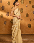 Ivory Moon Garden Tissue Saree