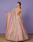 Tara Lehenga Set