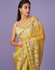 Multi Thread Work Saree Set
