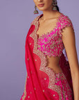 Creeper Lehenga Set