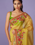 Multi Thread Work Saree Set